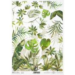 Papier ryżowy A4 R1757    ( zielone liście)
